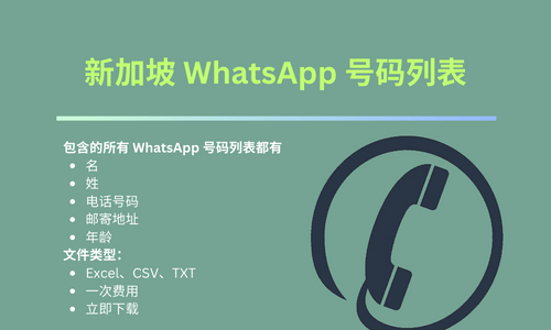 新加坡 WhatsApp 号码列表