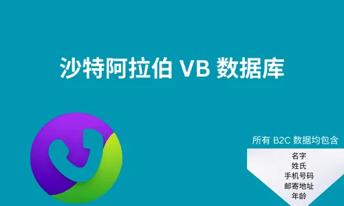 沙特阿拉伯 VB 数据库
