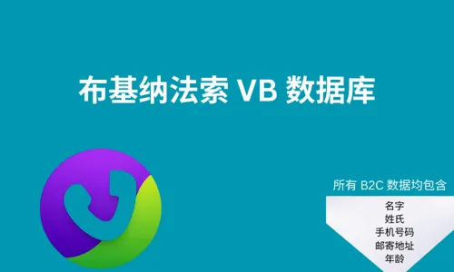 布基纳法索 VB 数据库