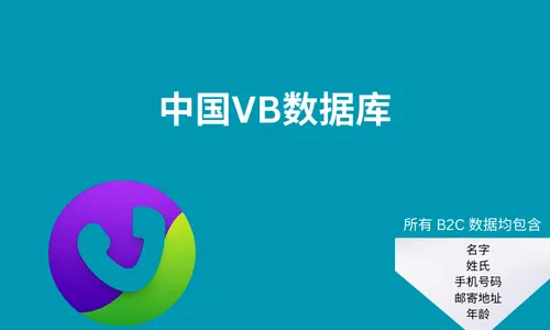 中国VB数据库