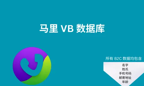 马里 VB 数据库