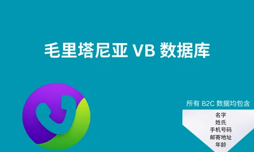 毛里塔尼亚 VB 数据库