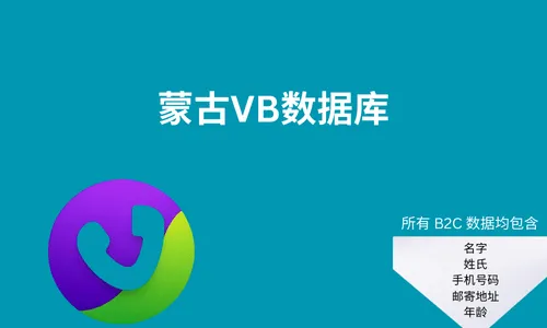 蒙古VB数据库