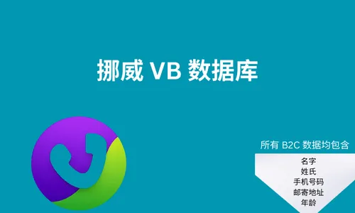 挪威 VB 数据库