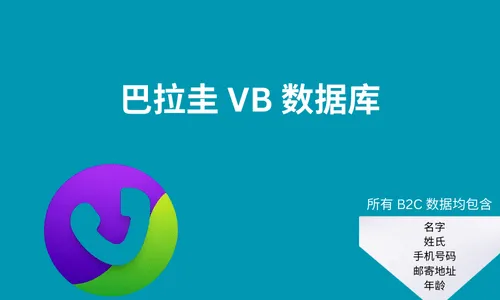 巴拉圭 VB 数据库