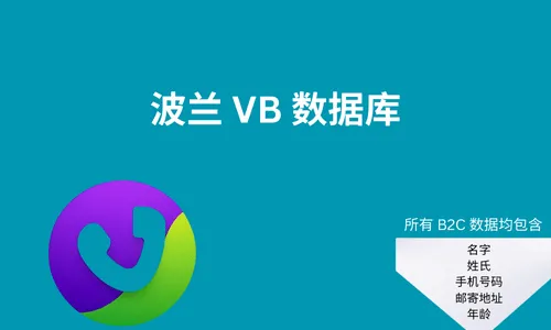 波兰 VB 数据库